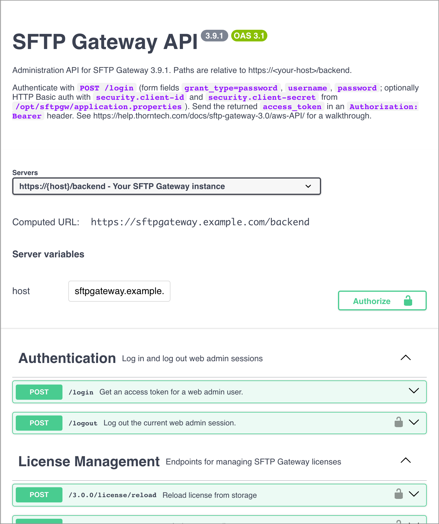 Swagger Editor