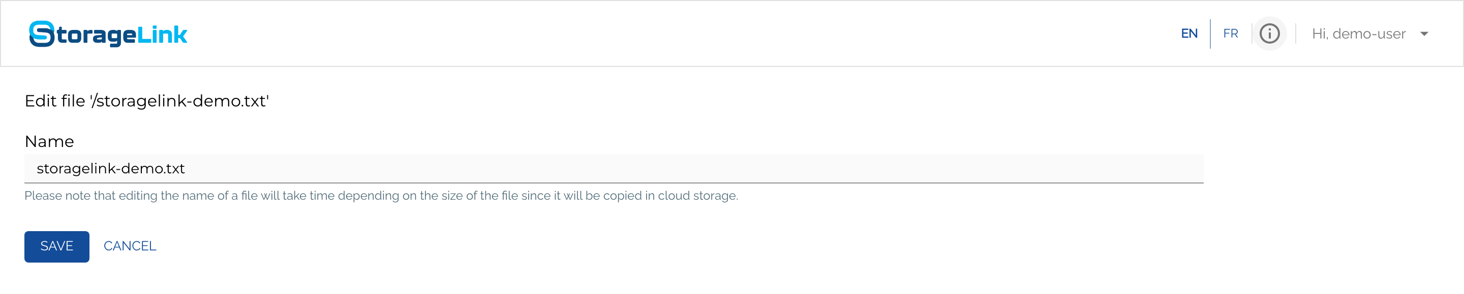 Edit file screen with the Name field set to storagelink-demo.txt and SAVE and CANCEL buttons